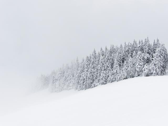 Snölandskap.